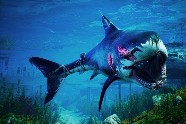 Nằm mơ thấy cá mập đánh con gì | Giải mã giấc mơ thấy cá mập cắn người báo điềm gì?