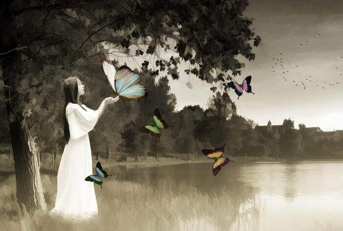 Giải mã giấc mơ thấy bướm và ý nghĩa giấc mơ thấy bướm